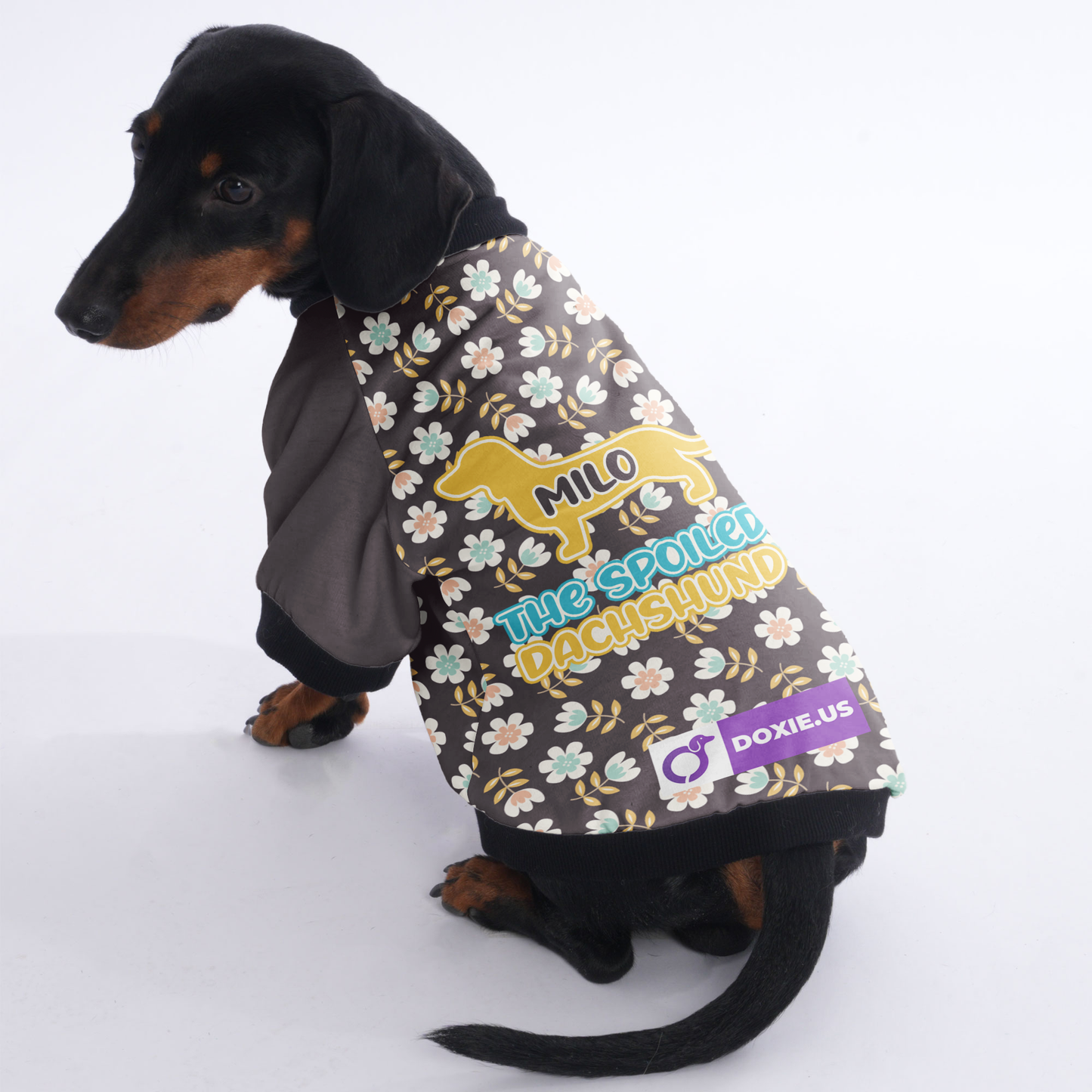 Personalized Dachshund Jacket with Your Dog's Name