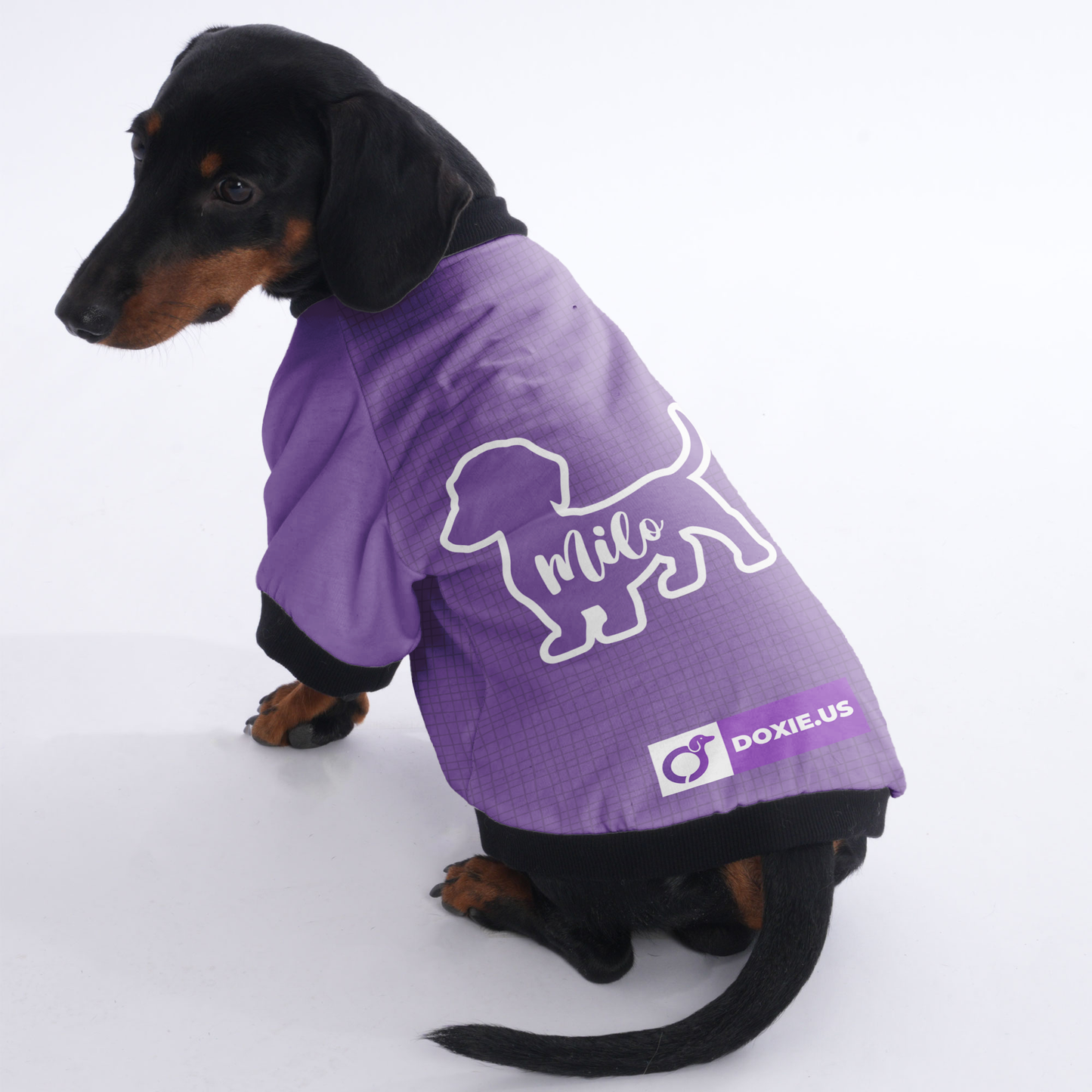 Custom Jacket for Dachshunds Featuring Your dachshund's Name