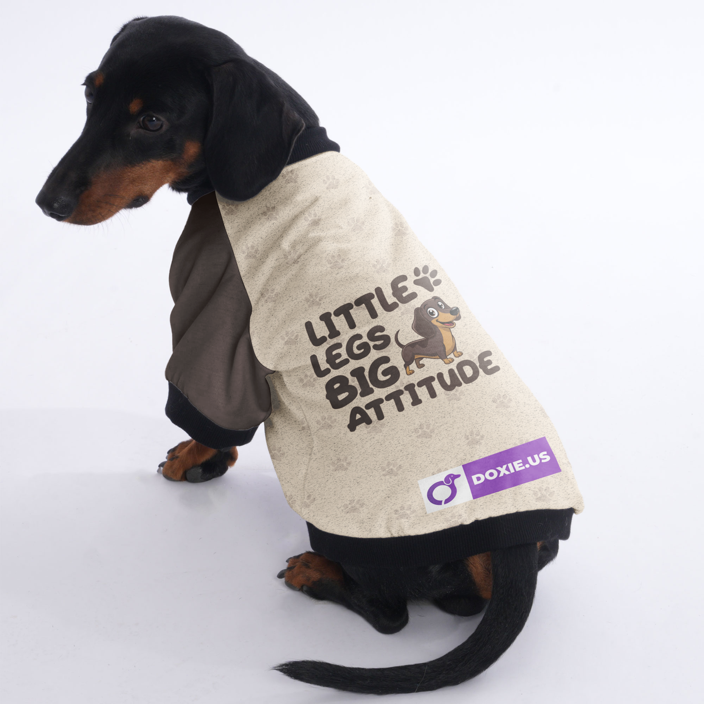 LITTLE LEGS, BIG ATTITUDE  - Jacket for Dachshunds