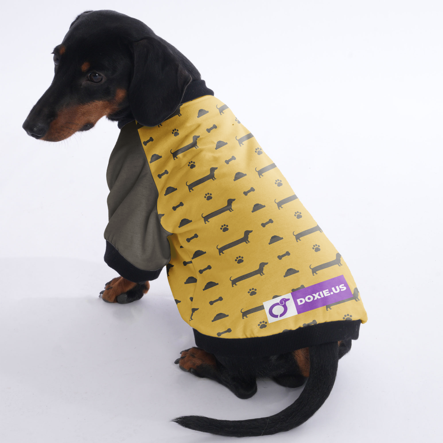 Indy - Jacket for Dachshunds