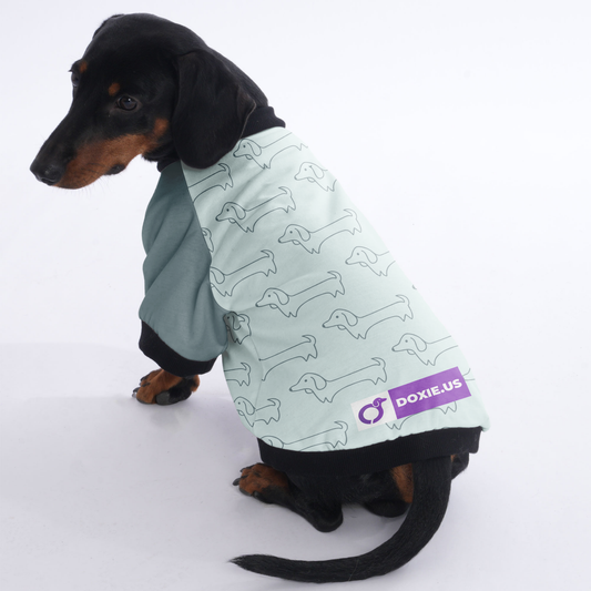 Penny - Jacket for Dachshunds