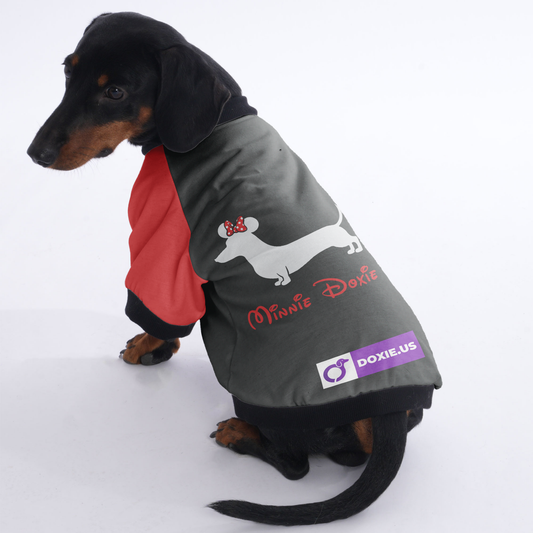 Minnie Doxie - Jacket for Dachshunds