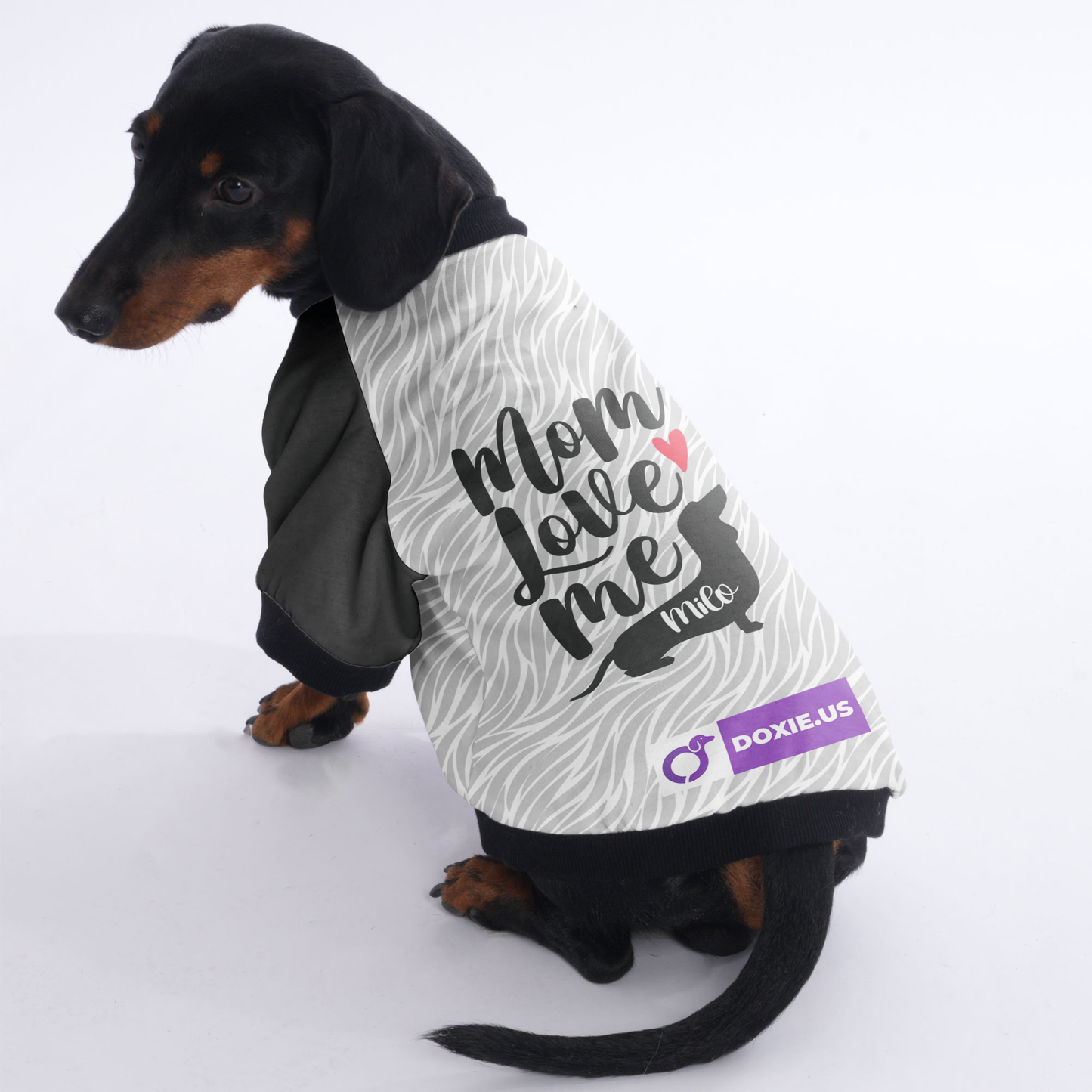 Custom Jacket for Dachshunds with Your dachshund's Name