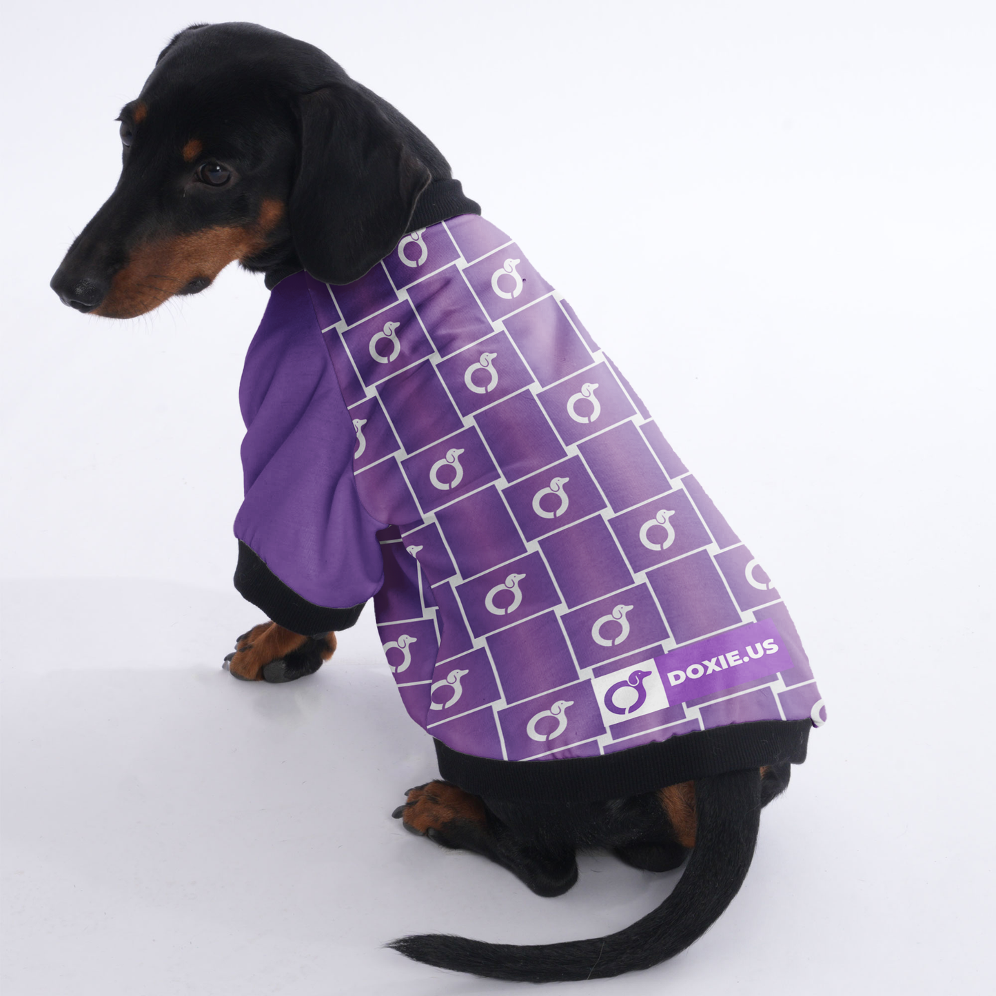 Tom - Jacket for Dachshunds