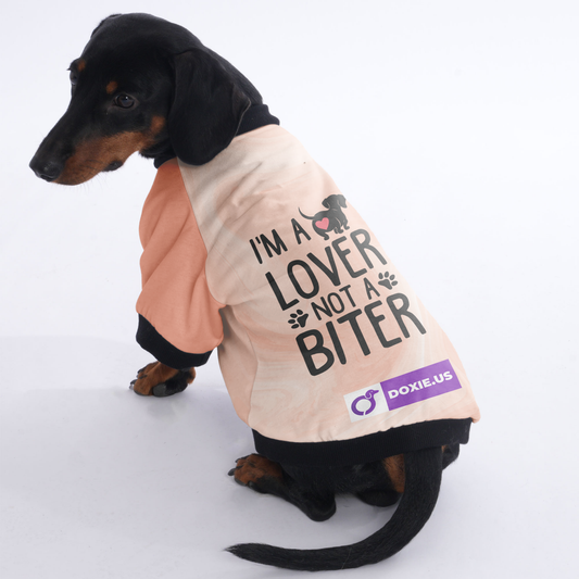 I'm a Lover Not a Biter - Jacket for Dachshunds