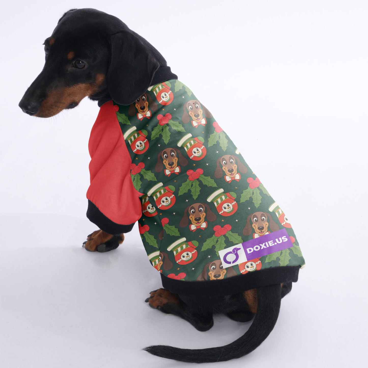 Roxy - Jacket for Dachshunds