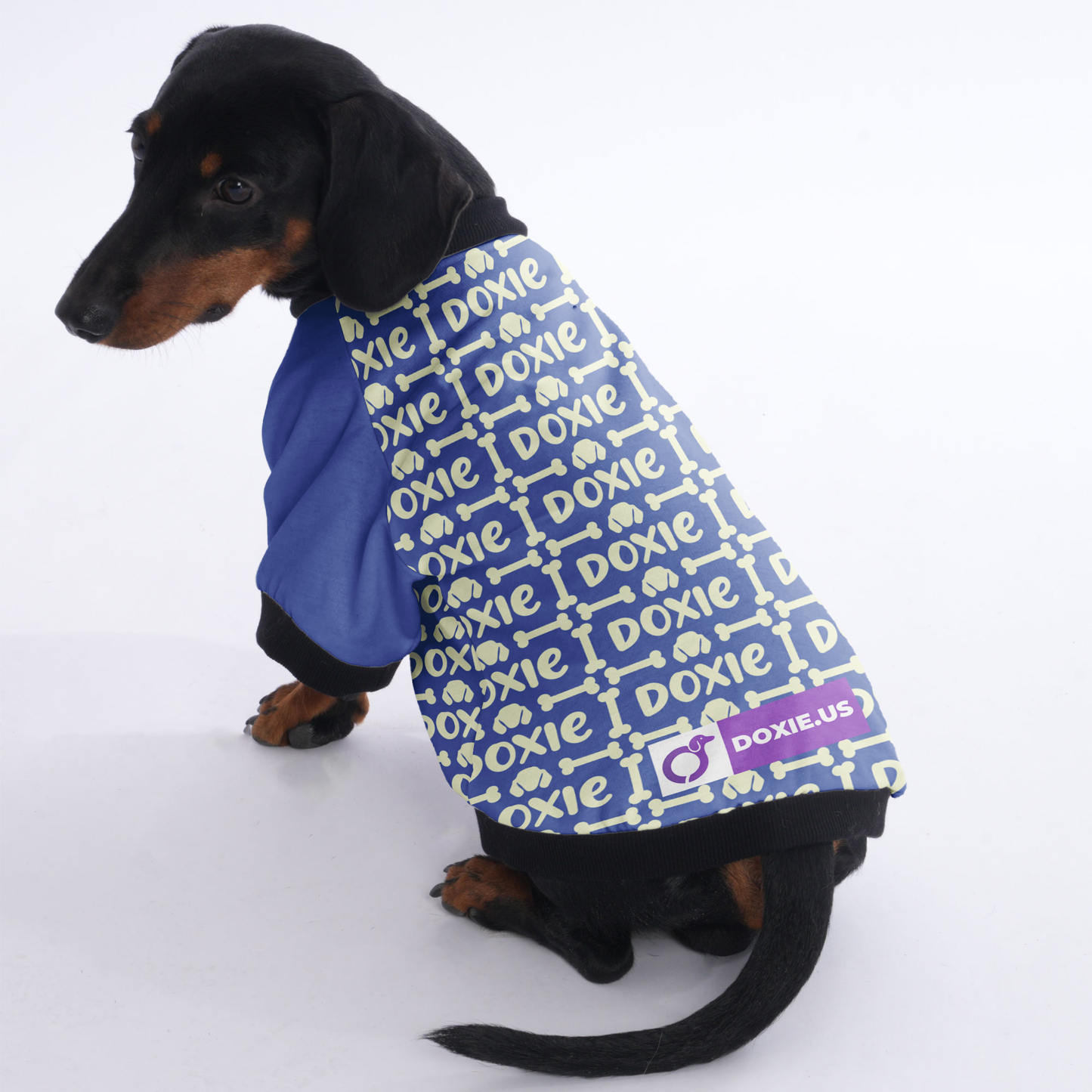 Ken - Jacket for Dachshunds