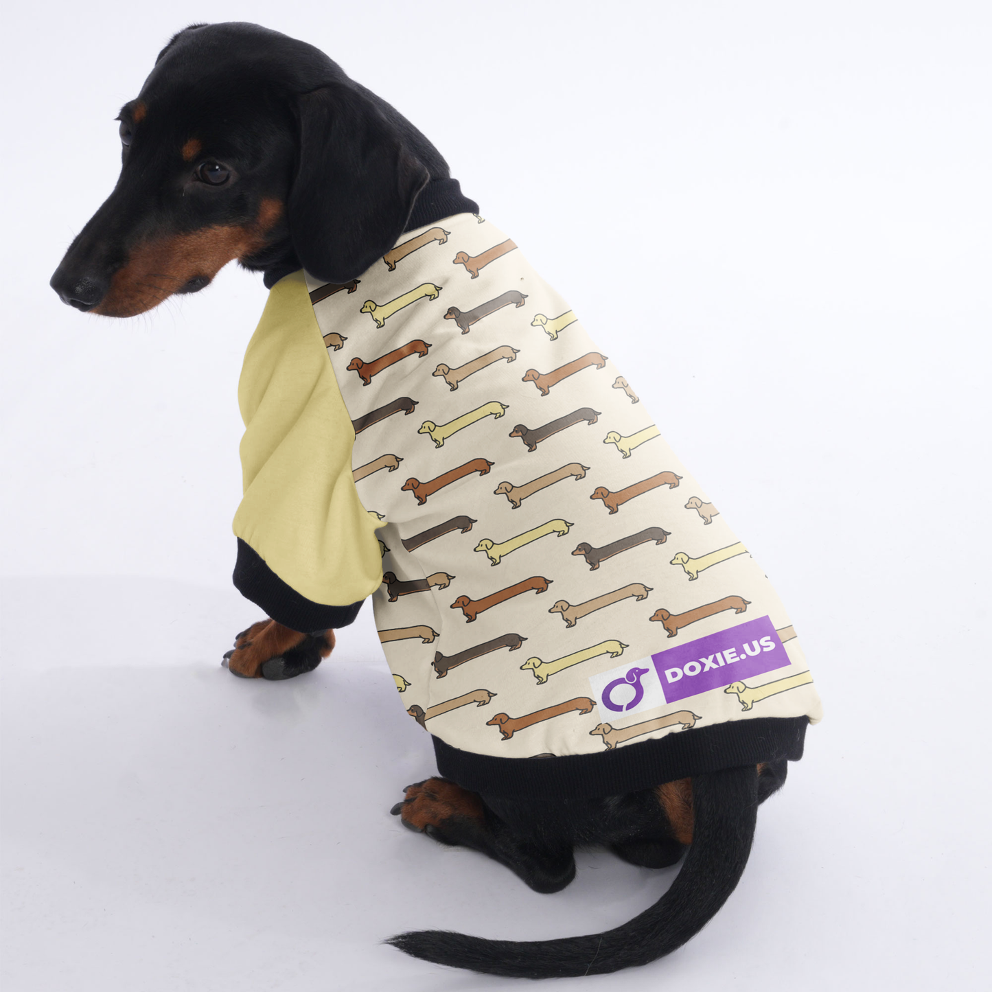 Birdie  - Jacket for Dachshunds