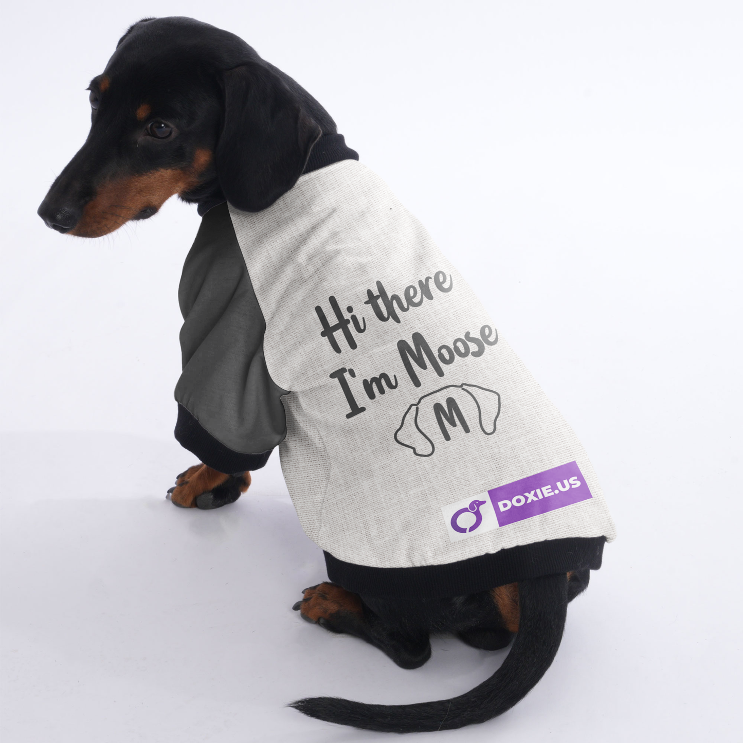 Personalized Doxie Jacket with Your Pup's Name