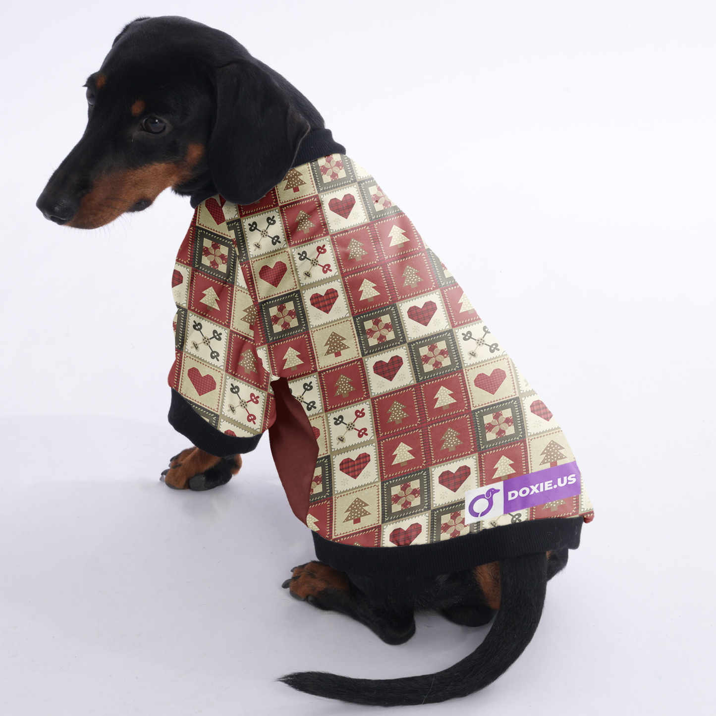 Bailey - Jacket for Dachshunds