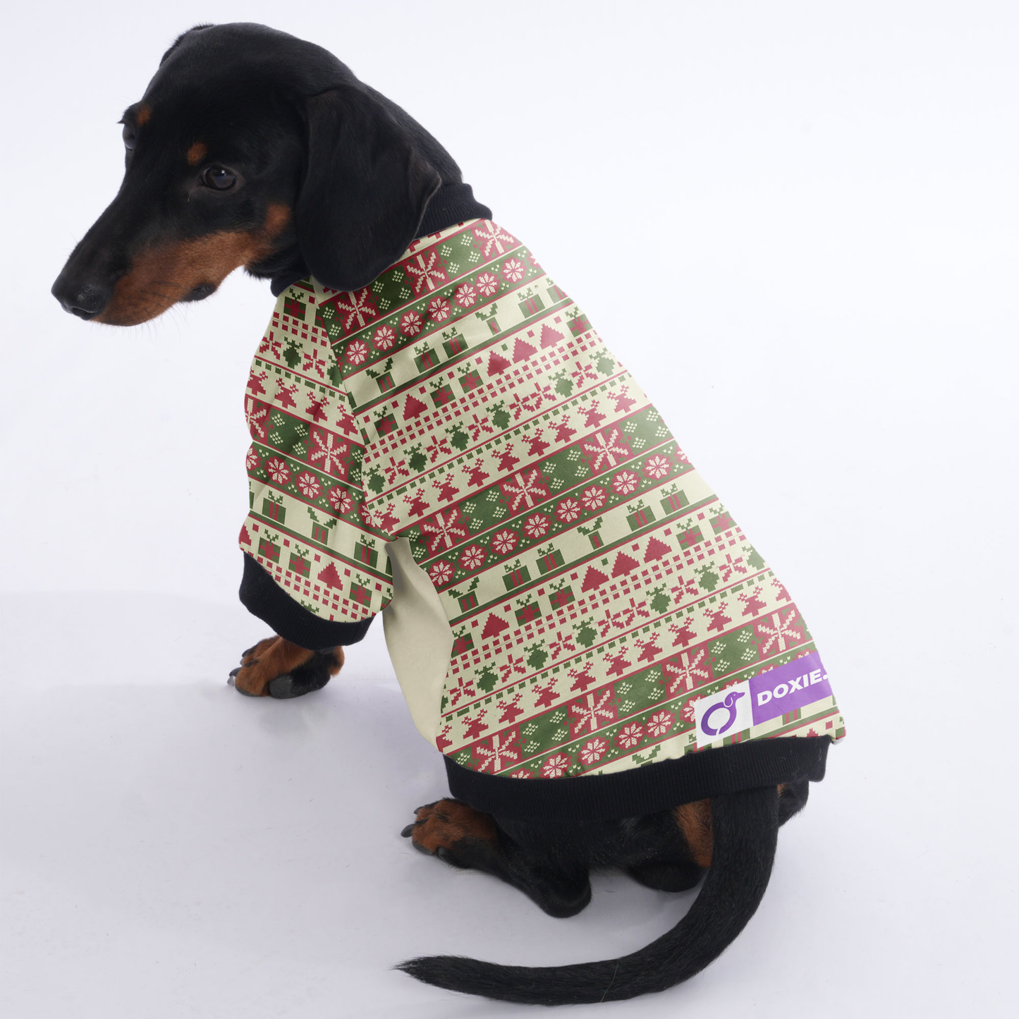 Molly - Jacket for Dachshunds