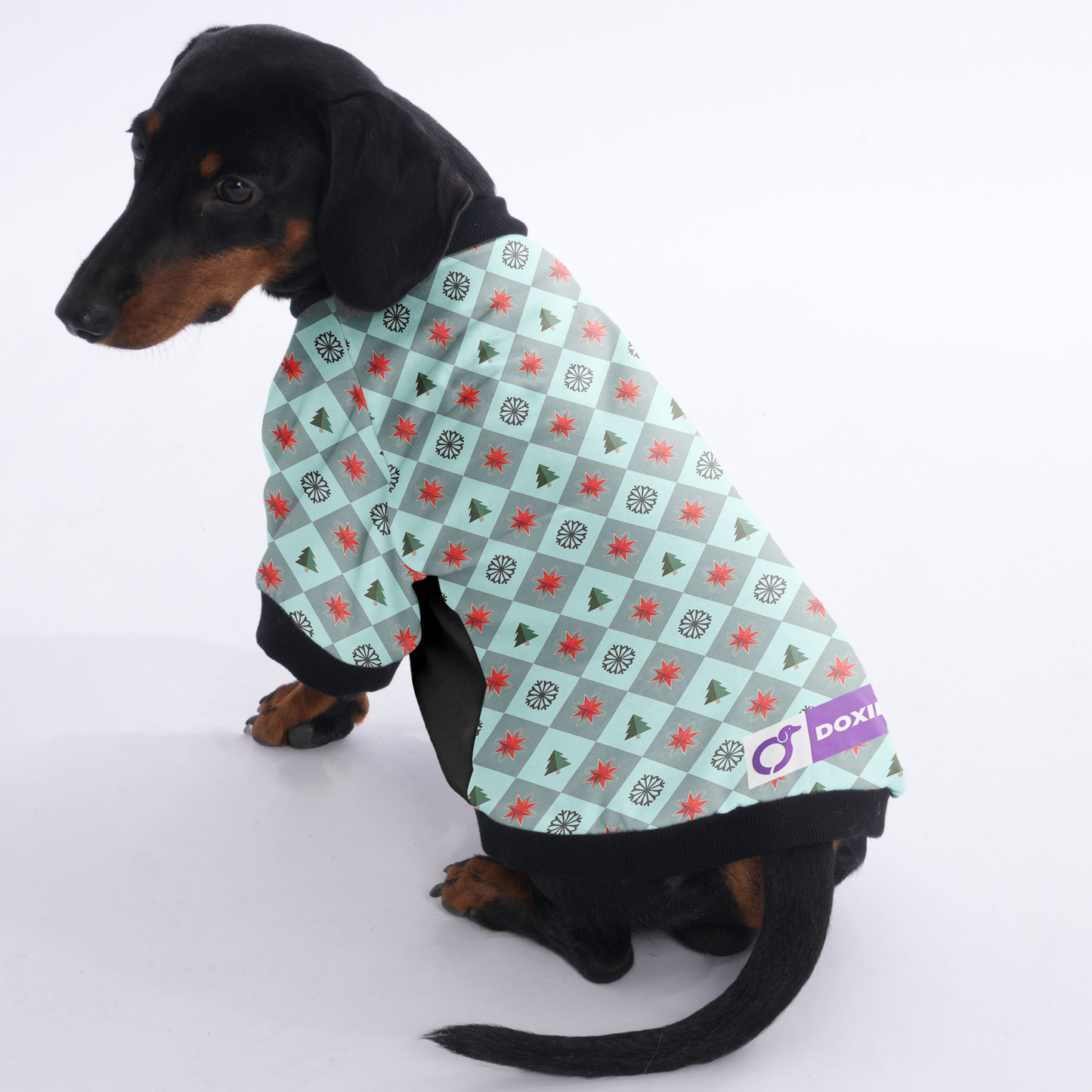 Rocky - Jacket for Dachshunds