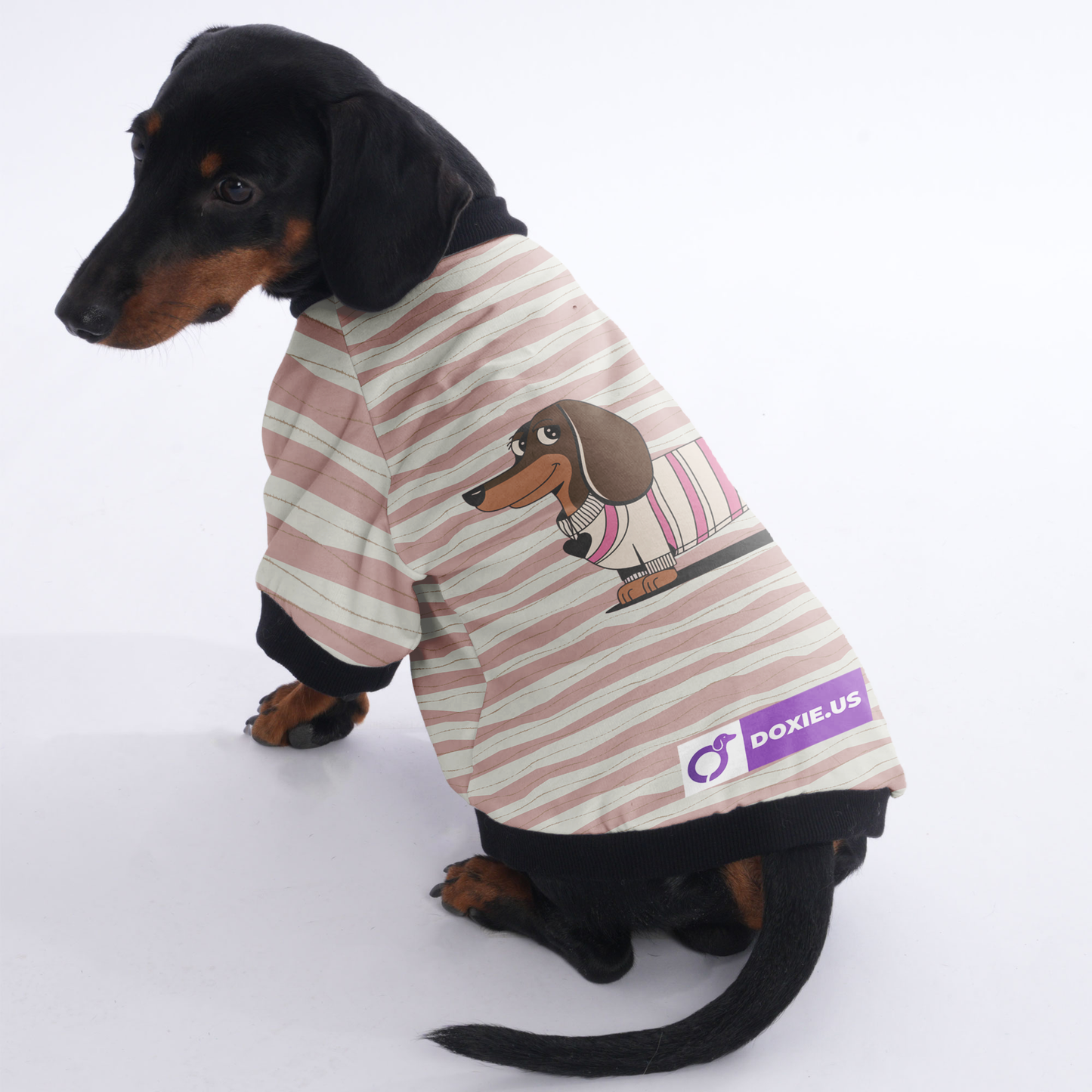 Stella - Jacket for Dachshunds