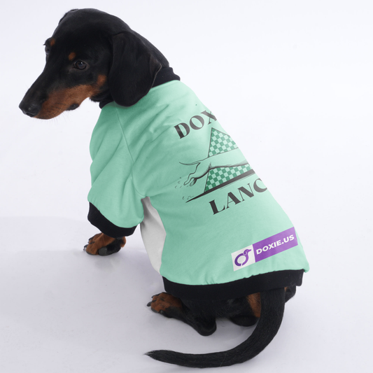 DOXIE LANCA - Jacket for Dachshunds