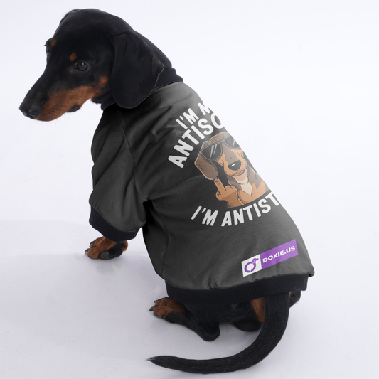 Nala - Jacket for Dachshunds