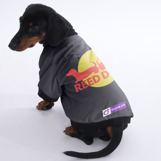 Oliver - Jacket for Dachshunds