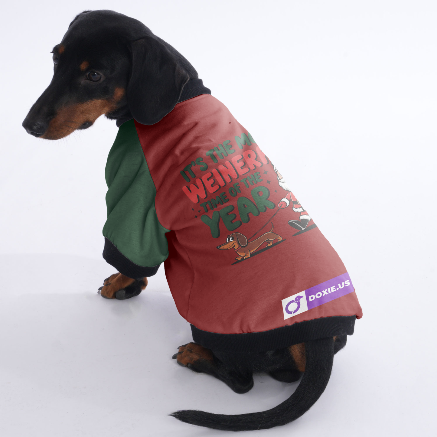 Max - Jacket for Dachshunds