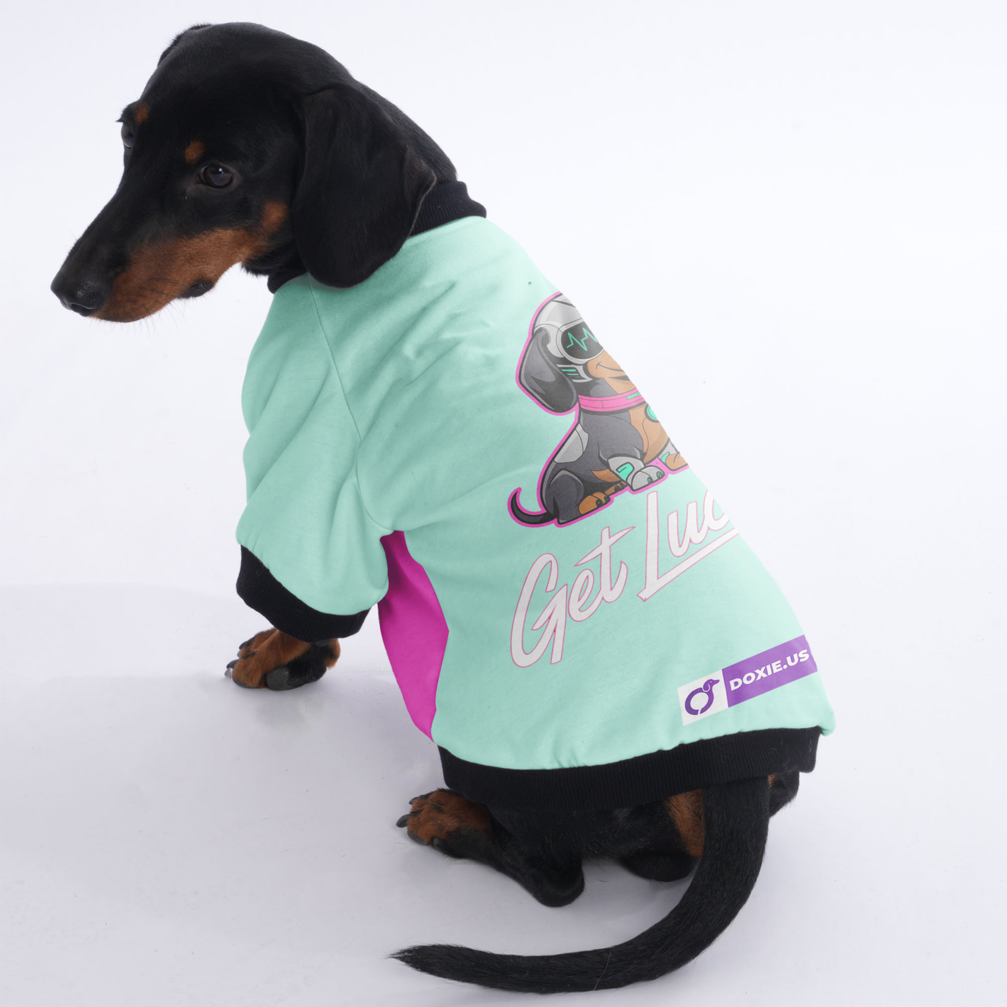 Willow - Jacket for Dachshunds