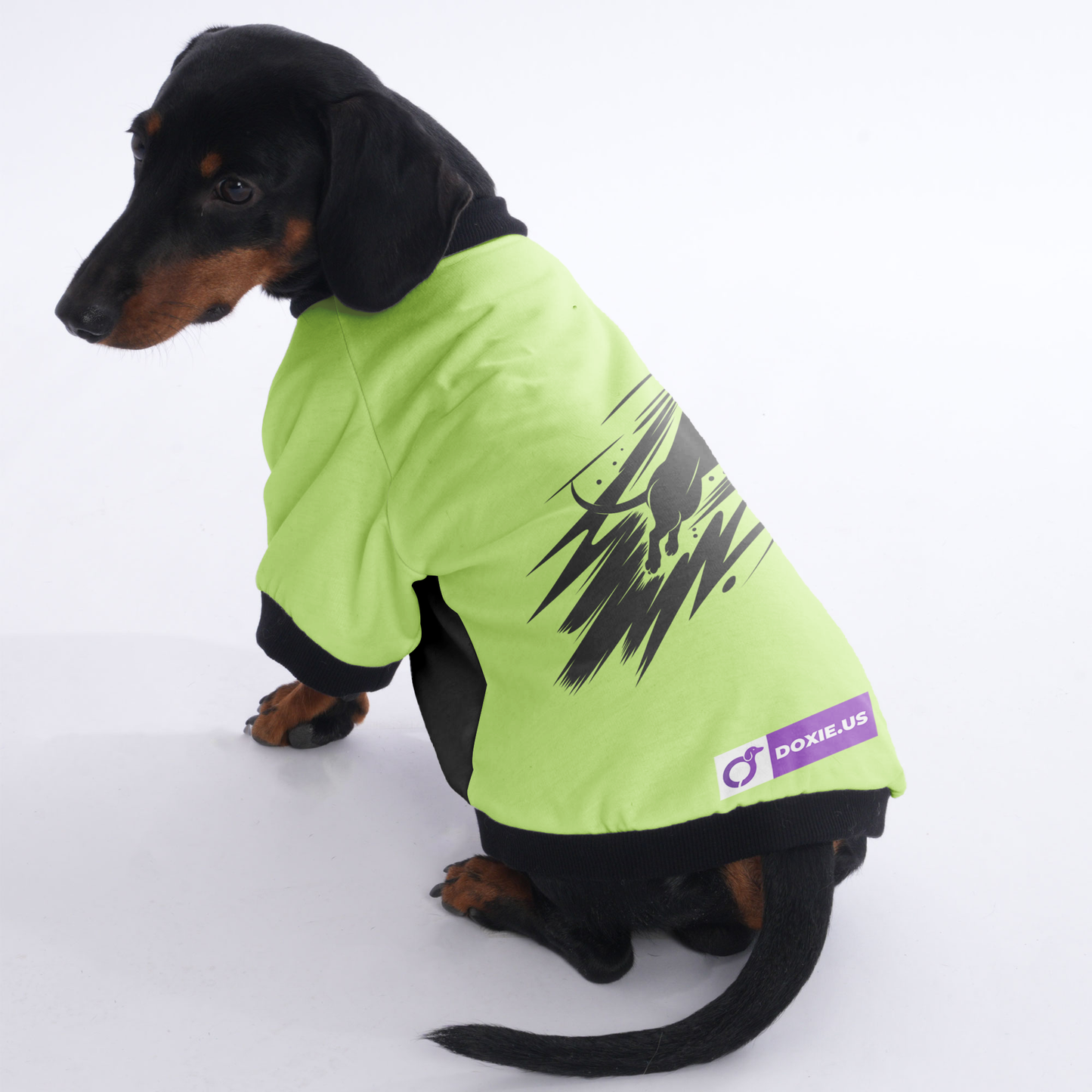 Gracie - Jacket for Dachshunds