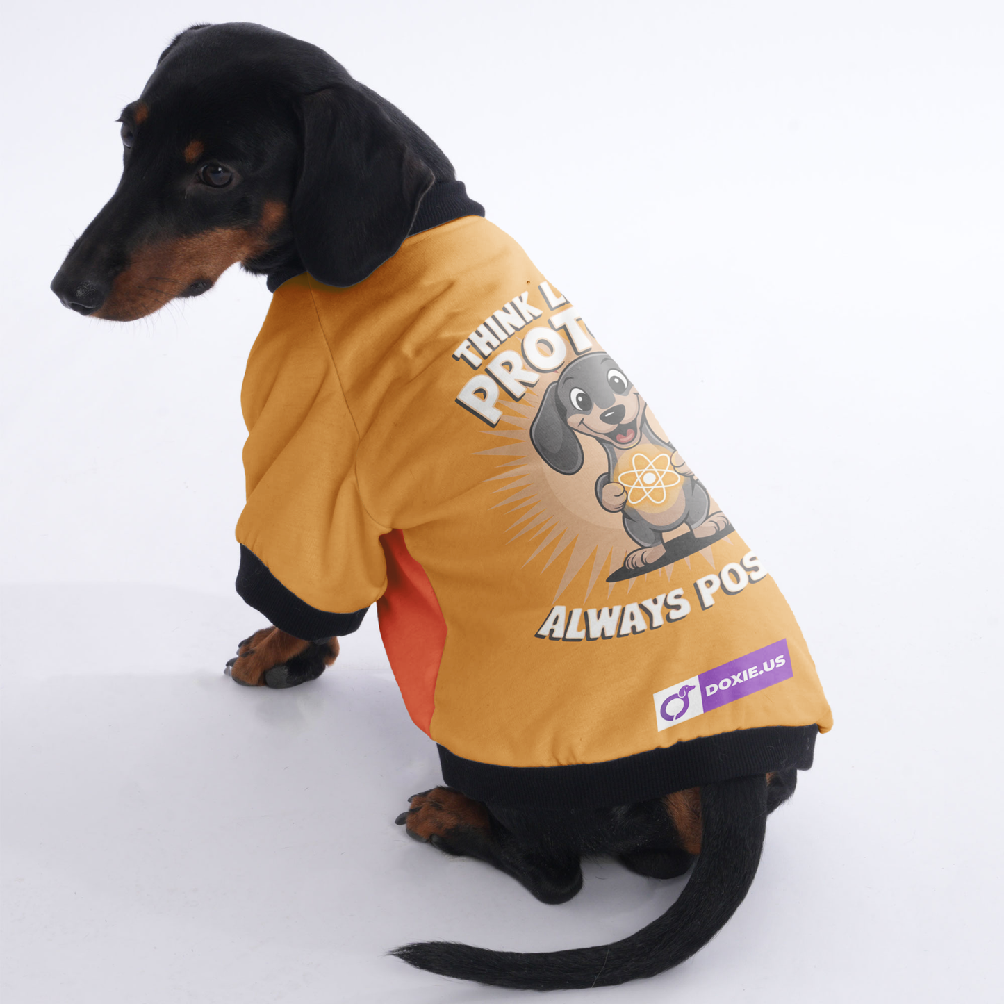 Bruno - Jacket for Dachshunds