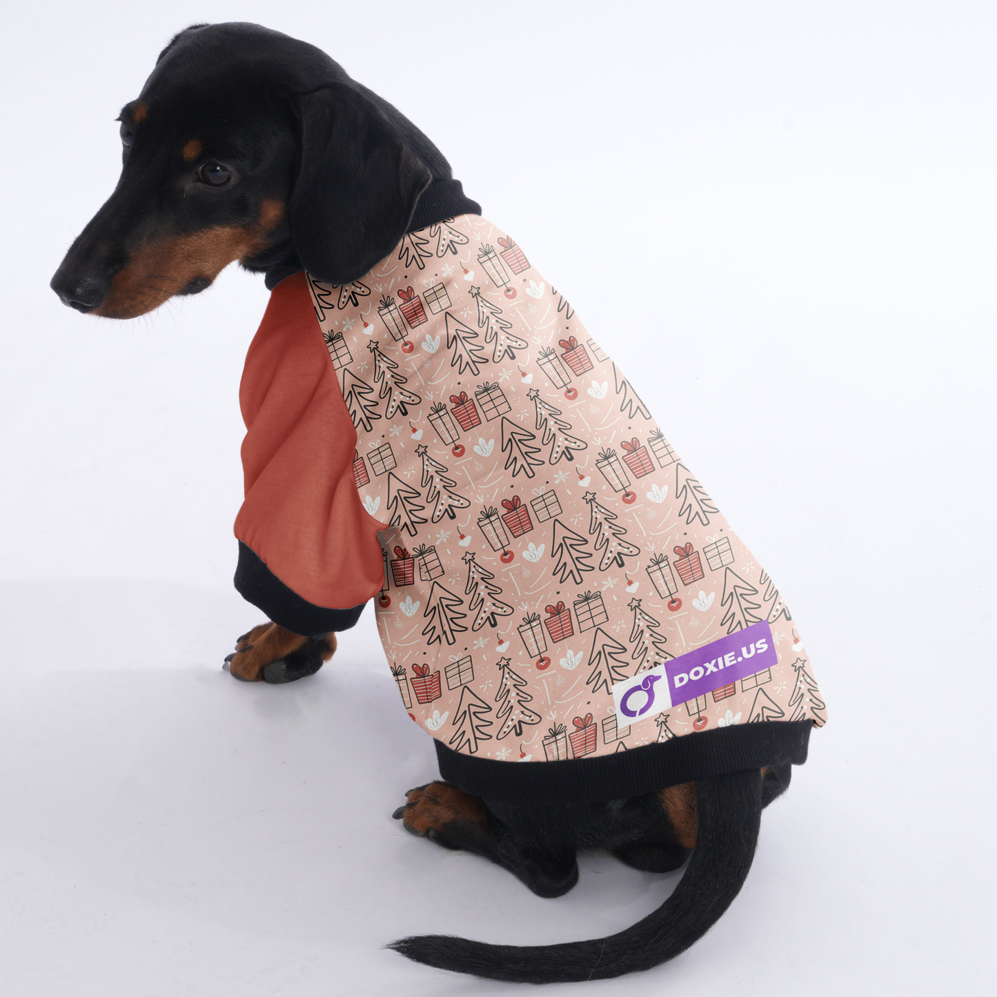 Daisy - Jacket for Dachshunds