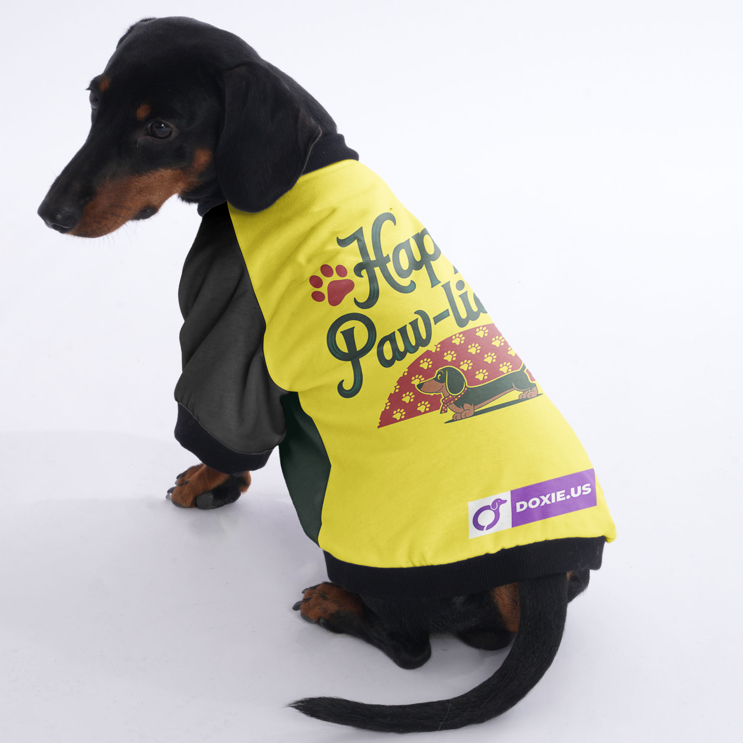 Buddy - Jacket for Dachshunds