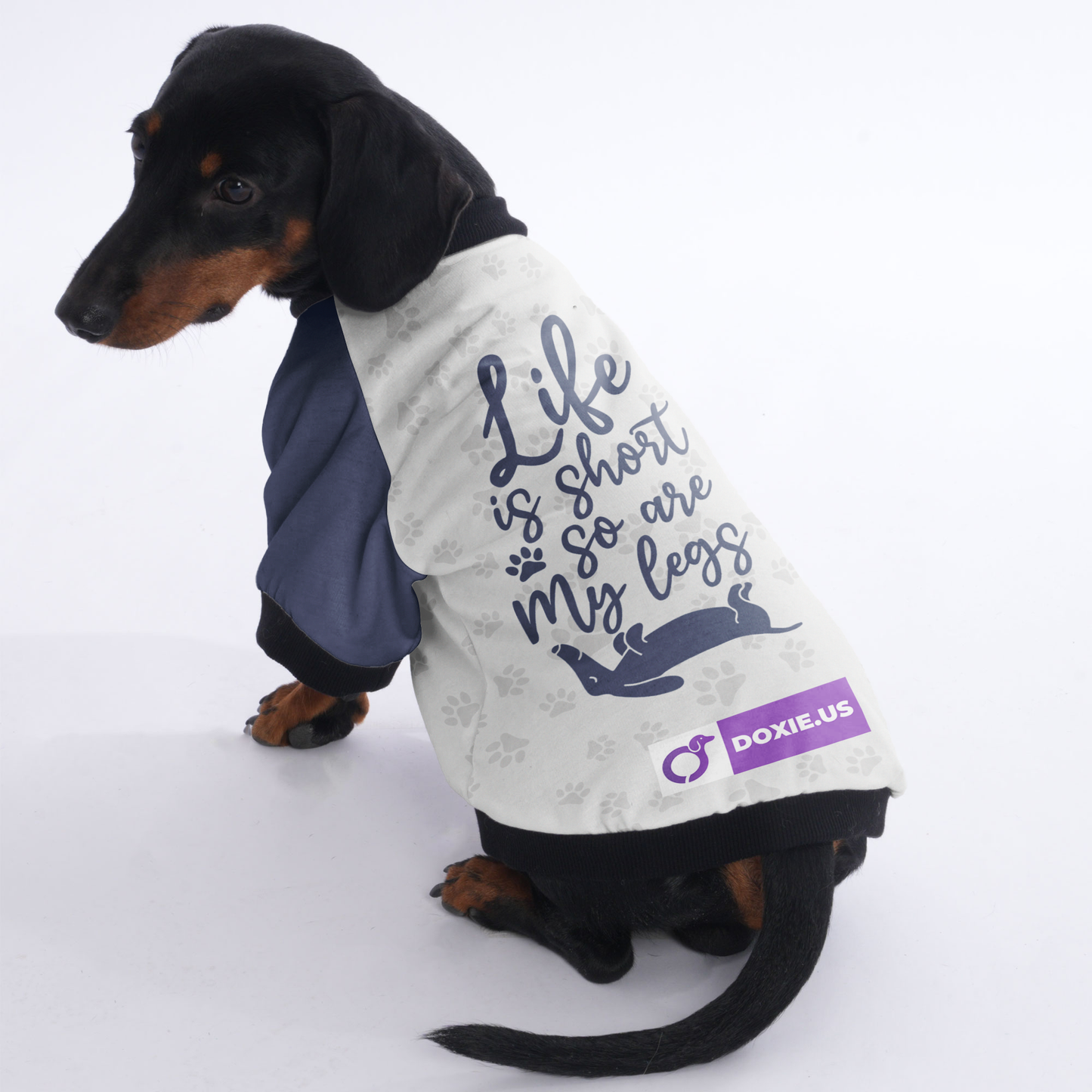 Life is short, so are my legs - Jacket for Dachshunds