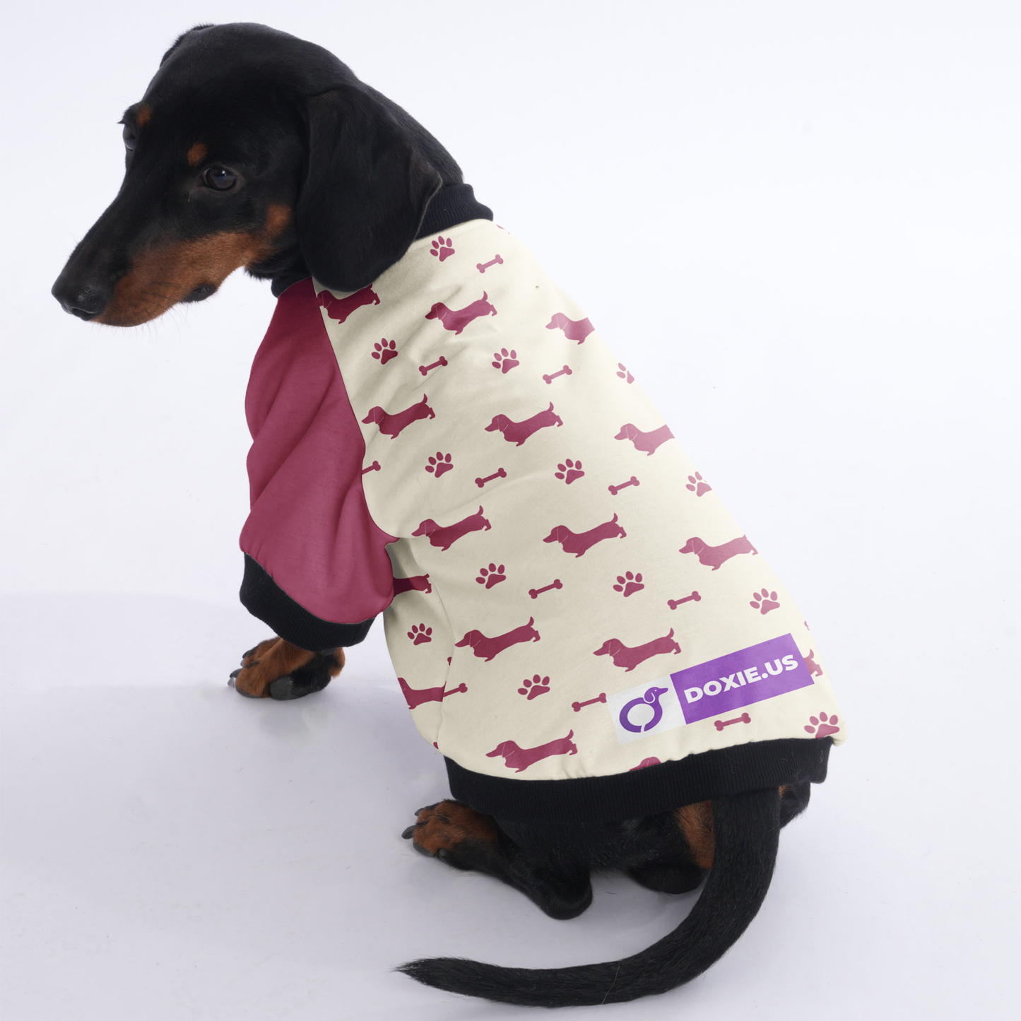 Lulu - Jacket for Dachshunds