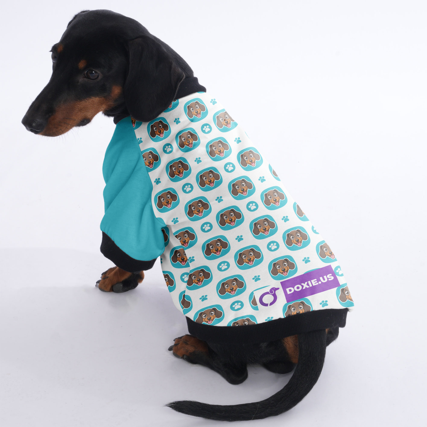 Nelly - Jacket for Dachshunds