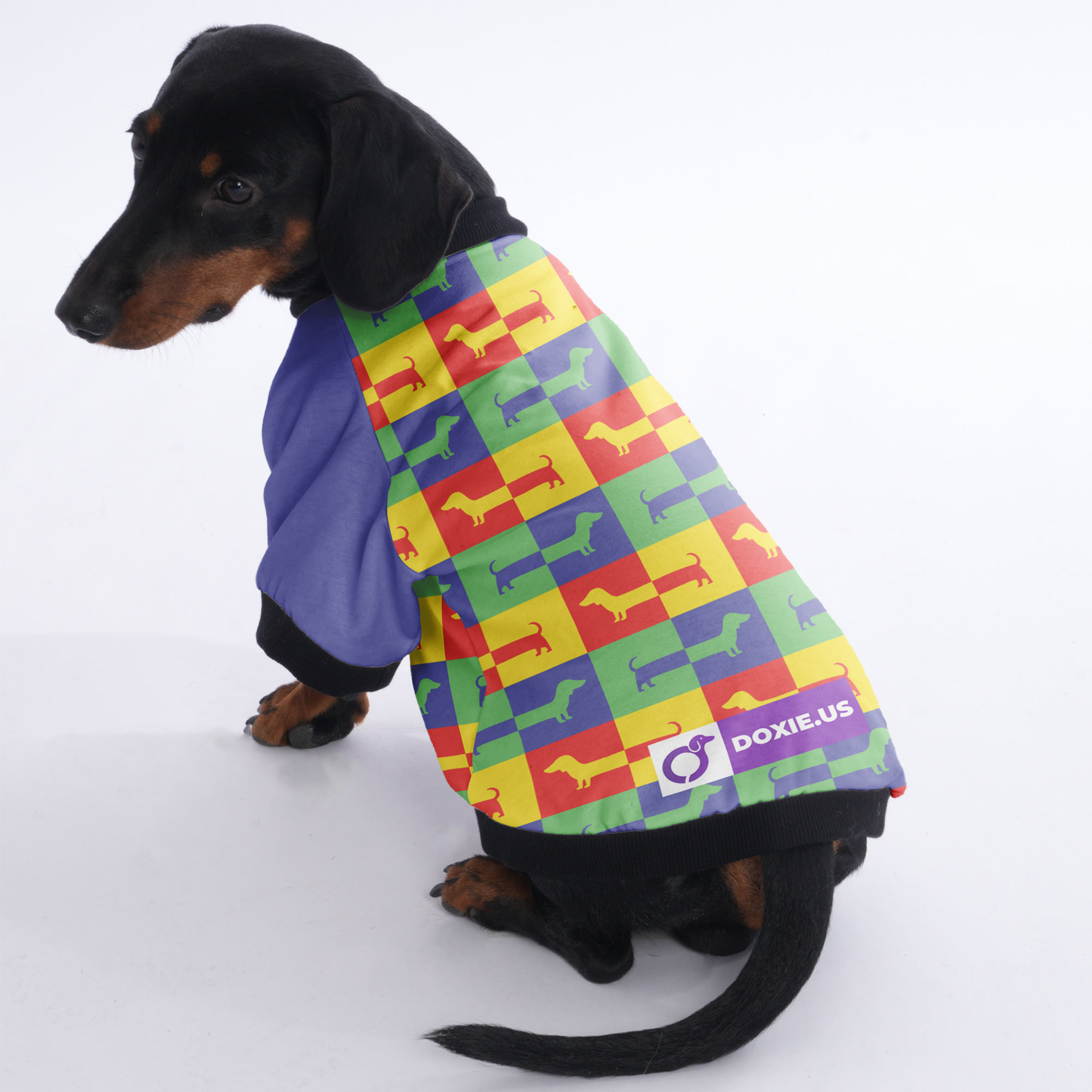 Nelson - Jacket for Dachshunds