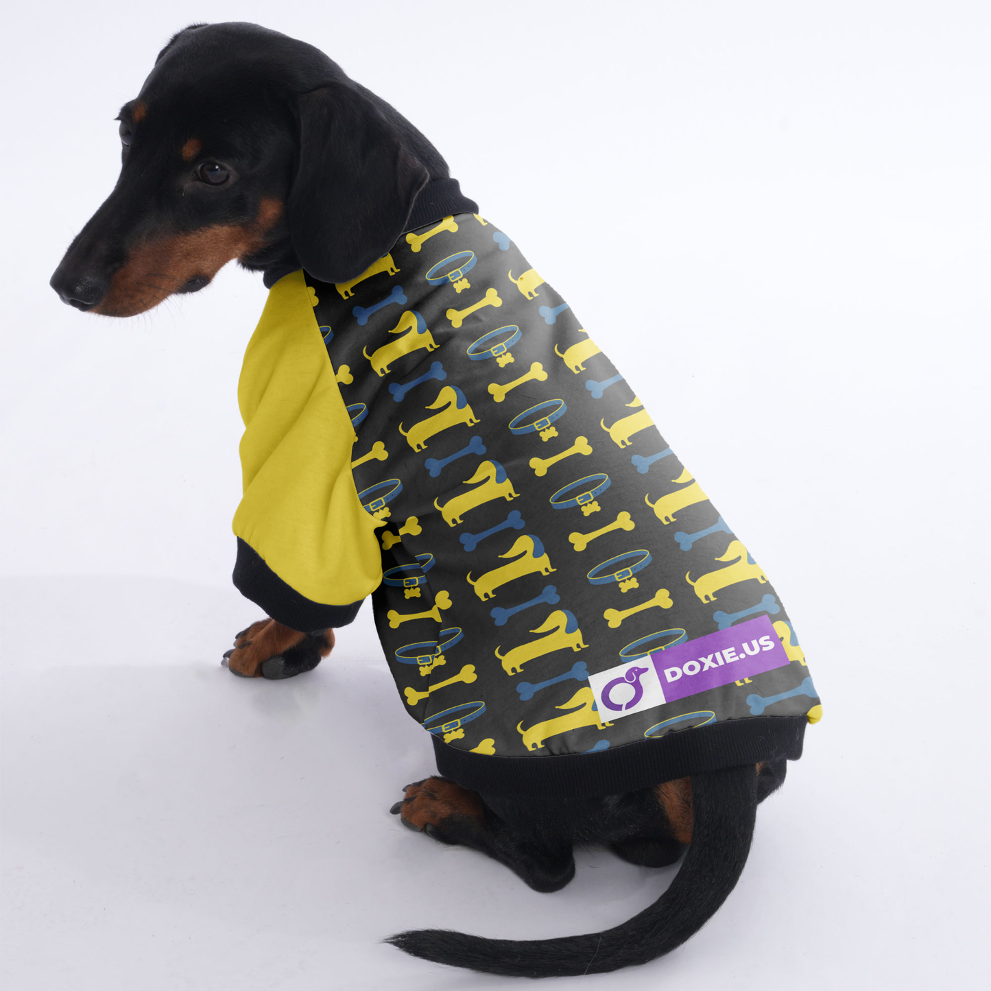 Slinky - Jacket for Dachshunds