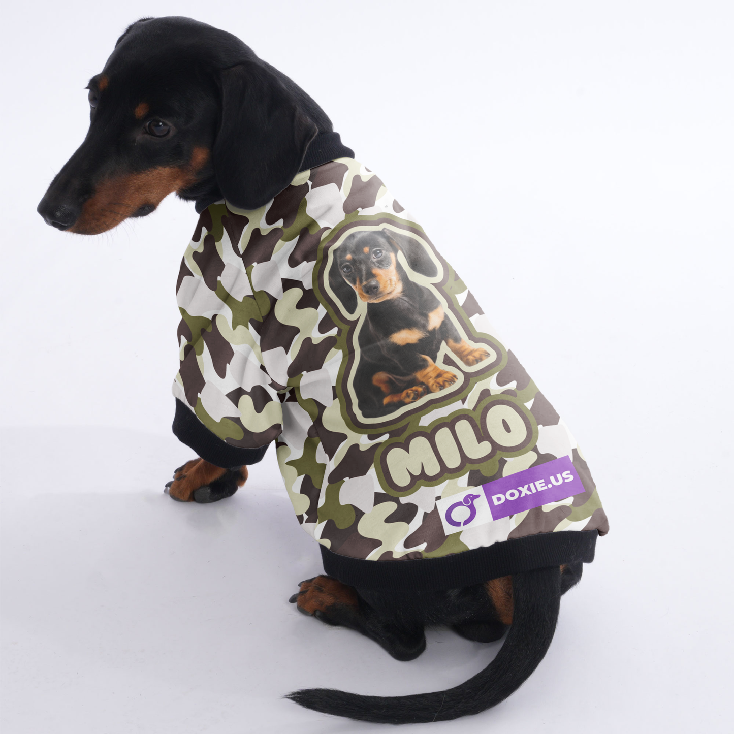 Custom Dachshund Jacket Featuring Your Dog's Name and Photo