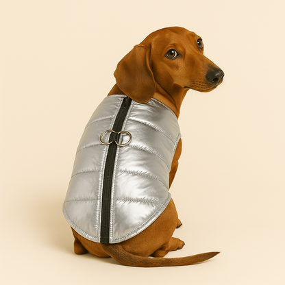 Premium Dachshund Gloossy Jacket Ultimate Wet-Weather Protection