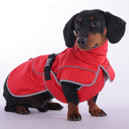 StormSafe waterproof winter jacket for dachshunds