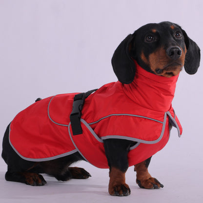 StormSafe waterproof winter jacket for dachshunds, view 4