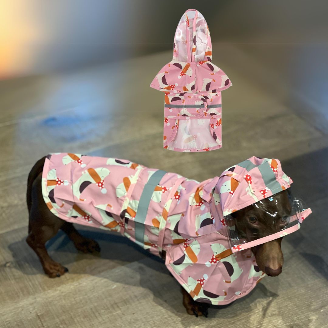 www.doxie.us-BarkSafe-Dachshund-Raincoat-with-Reflective-Strips