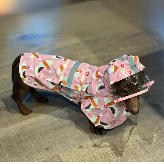 www.doxie.us-BarkSafe-Dachshund-Raincoat-with-Reflective-Strips