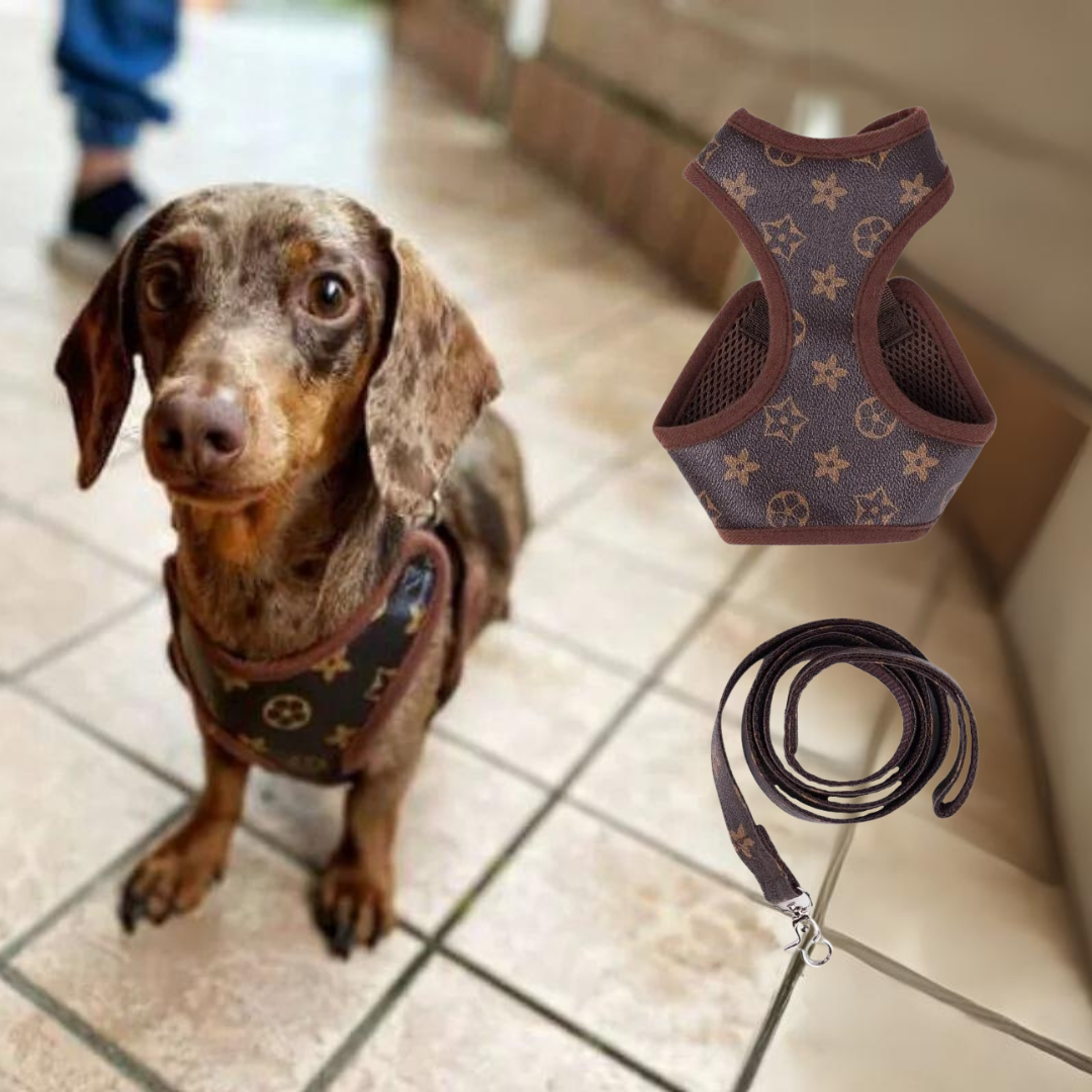 www.doxie.us-Chewy-Brown-Dachshund-Harness-and-Leash-Set