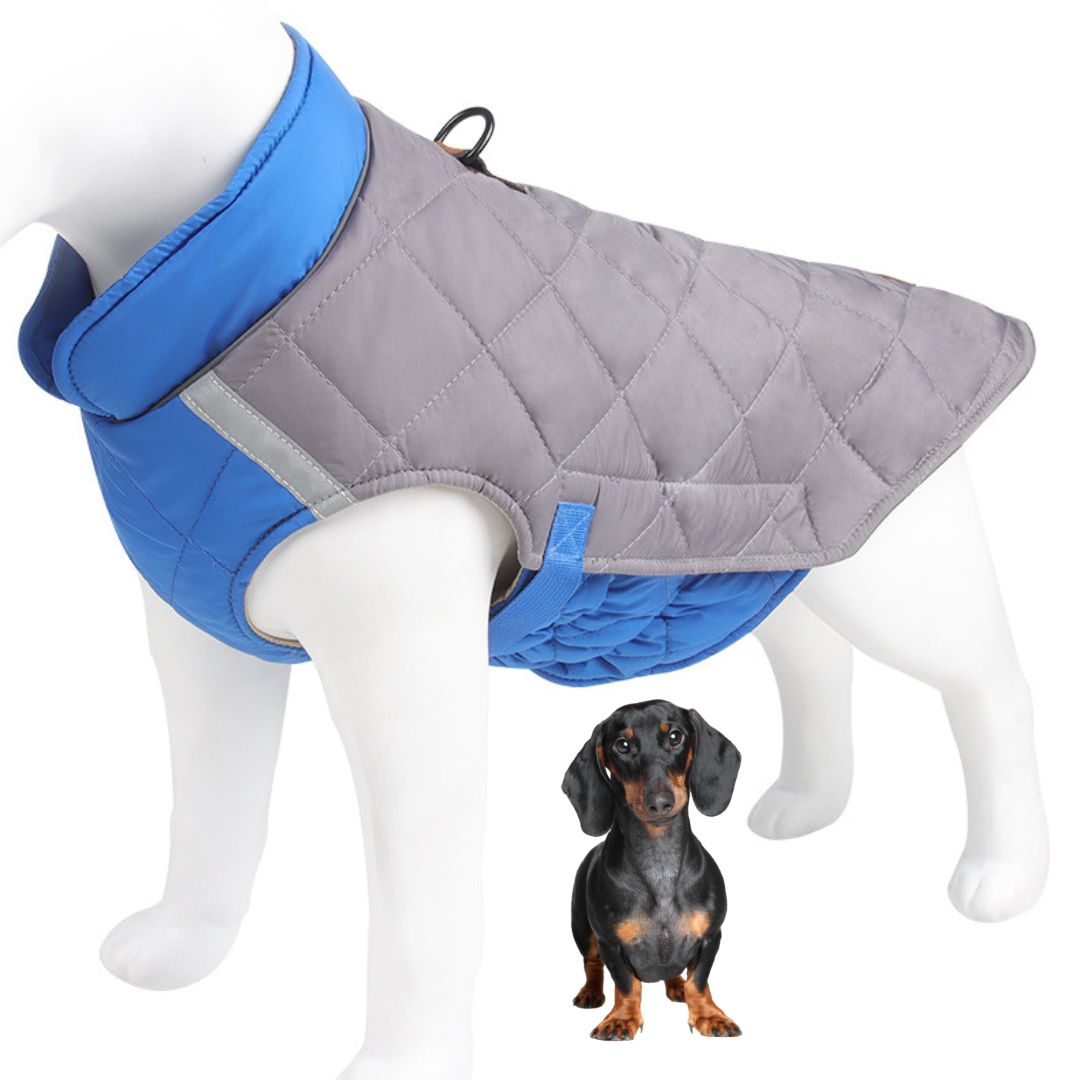 www.doxie.us-Colorblock-Dachshund-Jacket-Adjustable-Reflective-Snowsuit