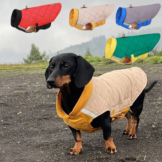 www.doxie.us-Colorblock-Dachshund-Jacket-Adjustable-Reflective-Snowsuit