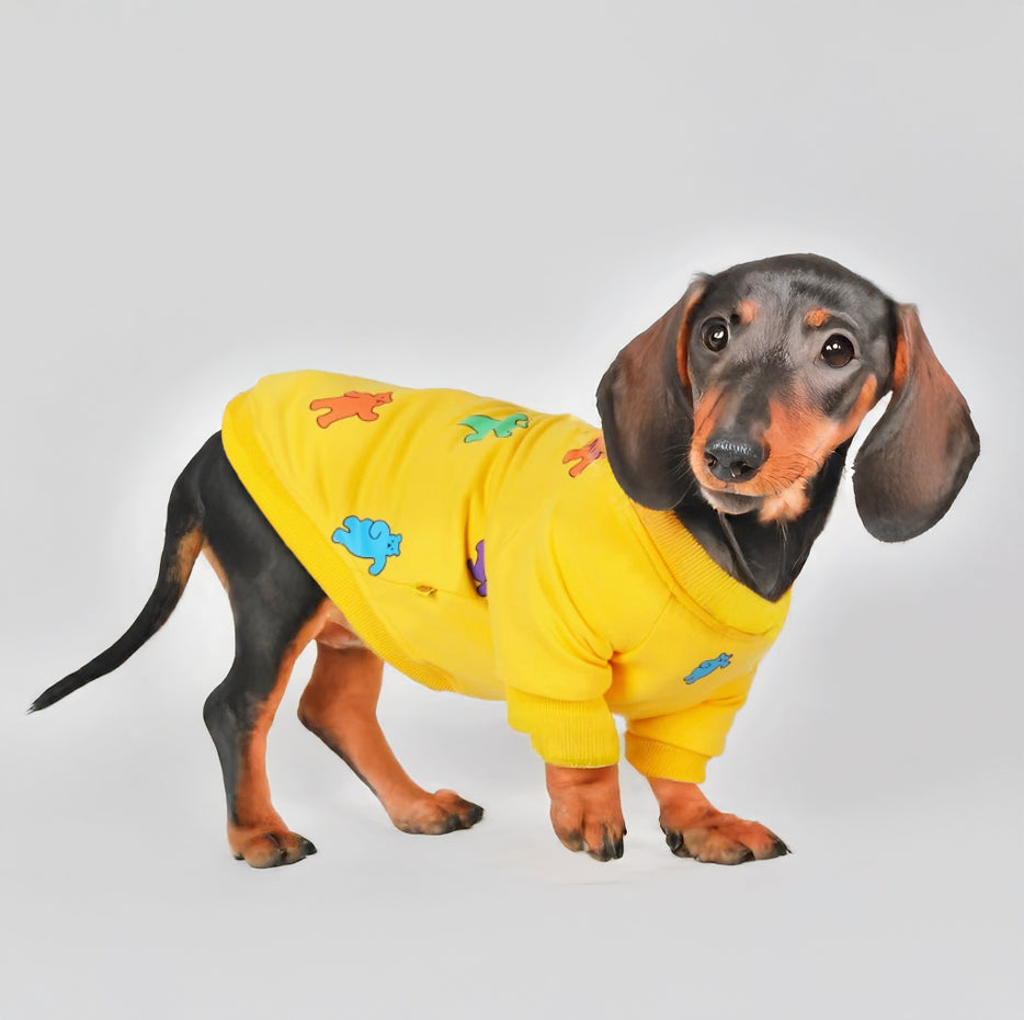 www.doxie.us-Cute-Dachshund-Sweater–Yellow-with-Playful-Animal-Pattern