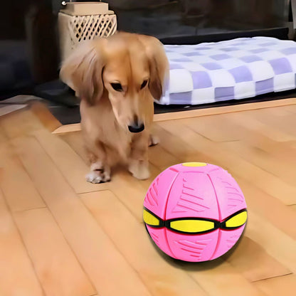 www.doxie.us-DachLite-Dachshund-Toy-Ball-with-LED-Light
