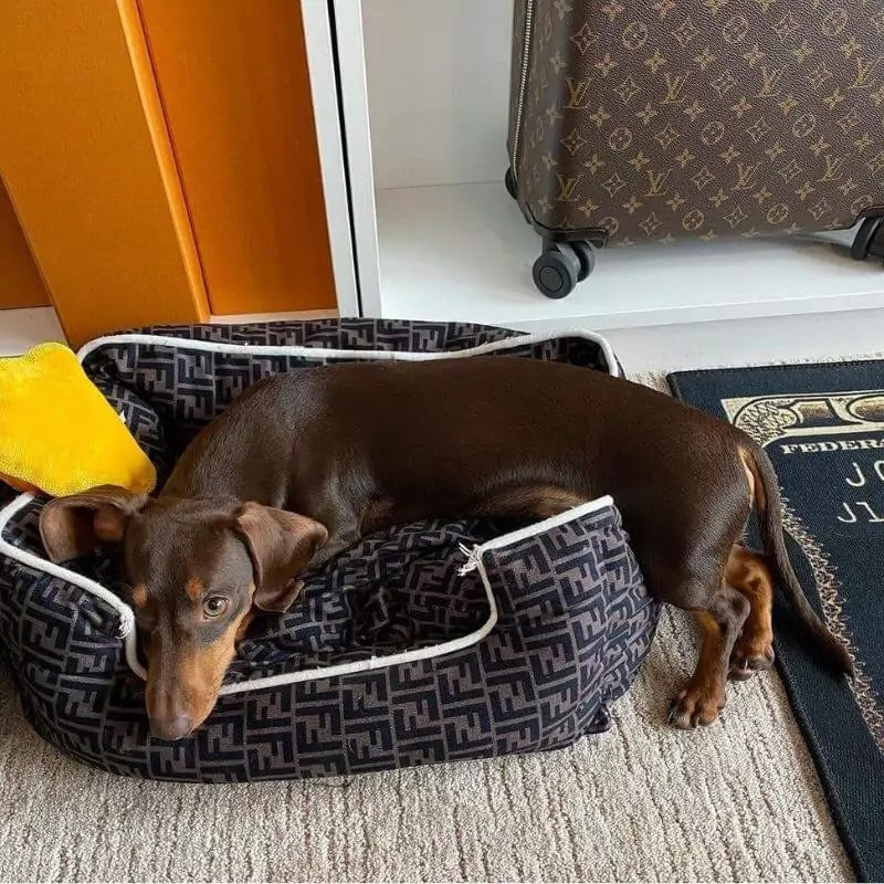 www.doxie.us-Dachshund-Fendi-Bed