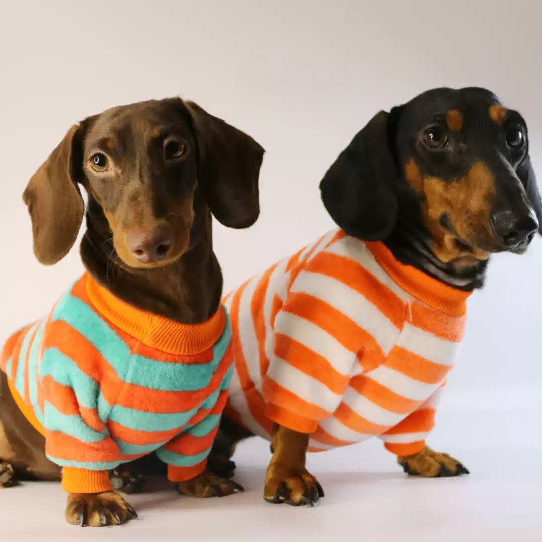 www.doxie.us-Dachshund-Fleece-Sweater-with-Stripes