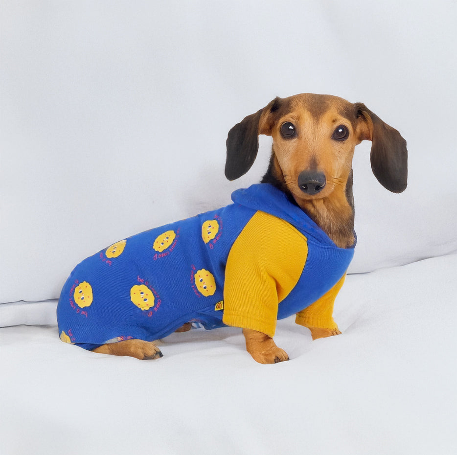 www.doxie.us-Dachshund-Four-Legged-Hoodie – Cozy-Winter-Sweater-for-Doxies