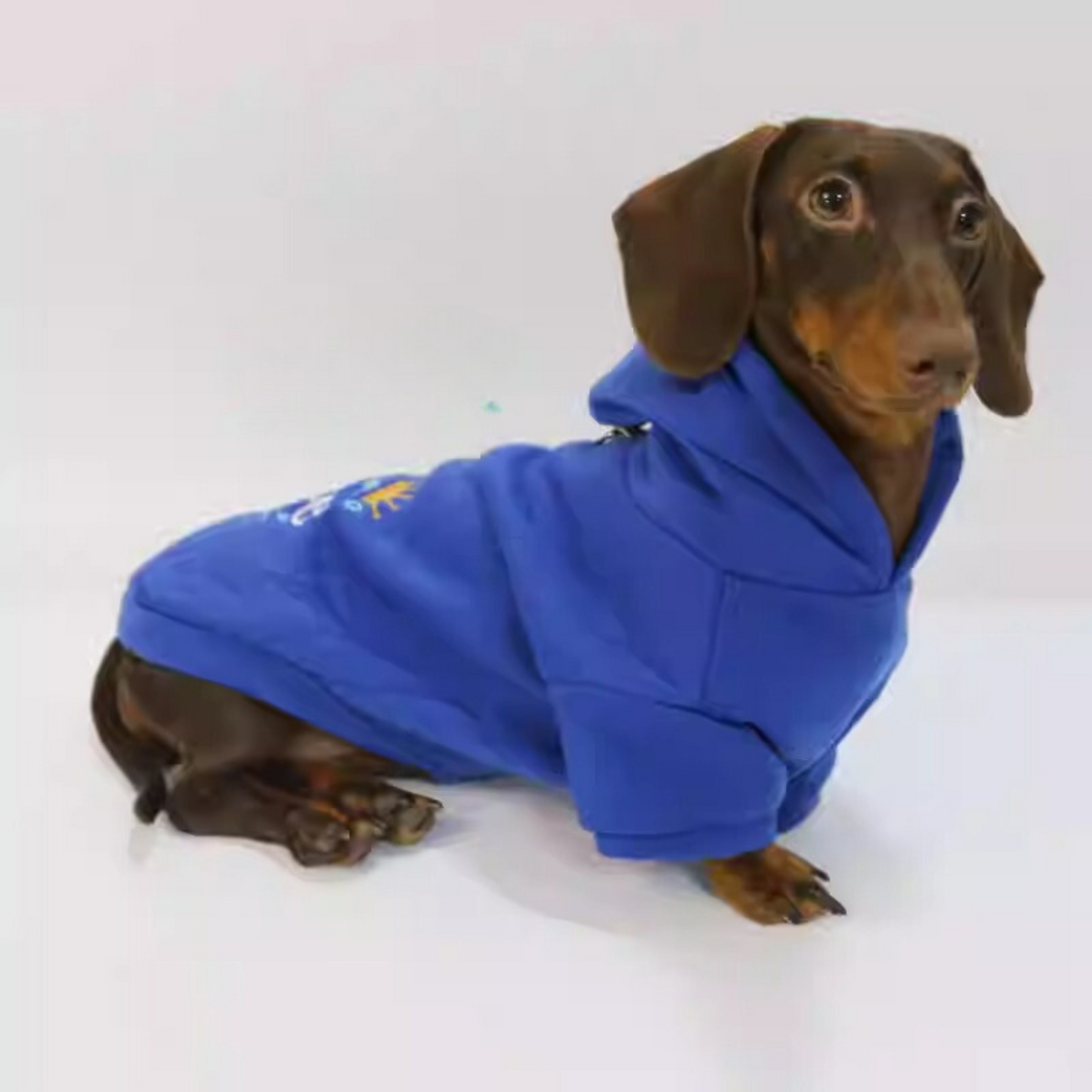 www.doxie.us-Dachshund-Prince-Hoodie