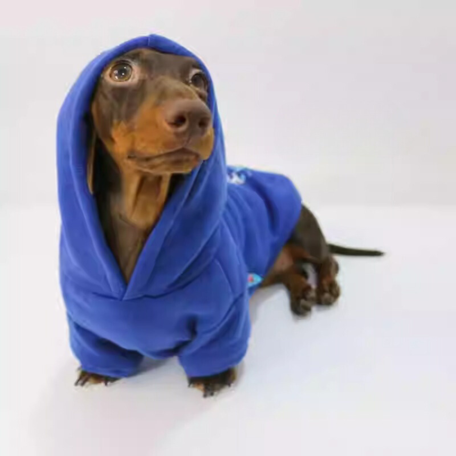 www.doxie.us-Dachshund-Prince-Hoodie