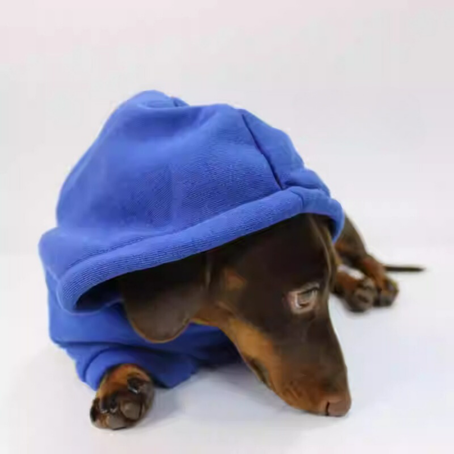 www.doxie.us-Dachshund-Prince-Hoodie