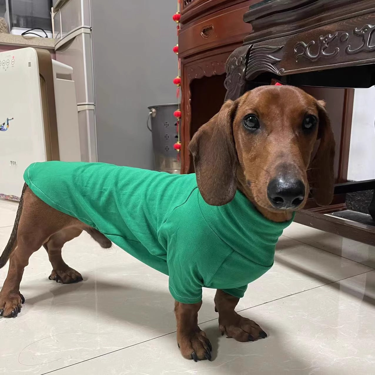 www.doxie.us-Dachshund-Sweater-Stylish-Long-Sleeved-Design