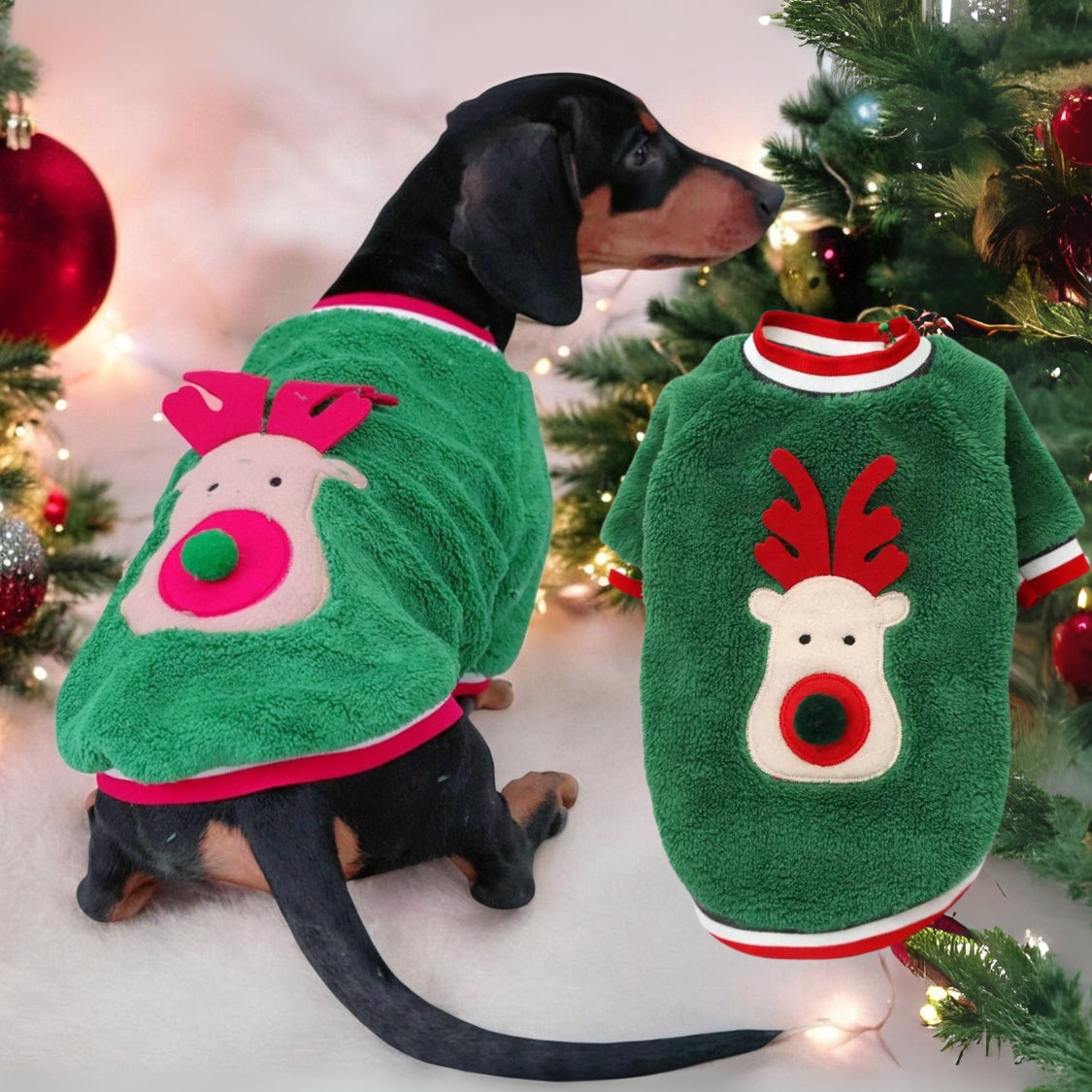 www.doxie.us-Doxie-Coral-Fleece-Christmas-Sweater-Festive-Reindeer-Holiday-Apparel-for-Dachshund